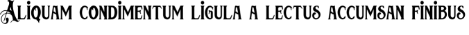 Chadwick Font Preview