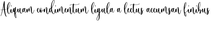 Winterhome Font Preview