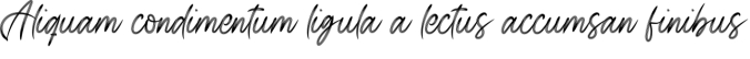 Beltanira Signature Font Preview
