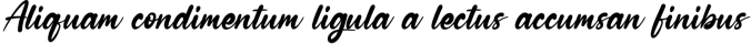 Amellgan Camellia Font Preview