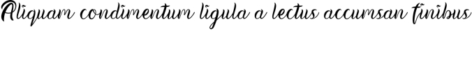 Cittadella Citta Font Preview