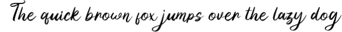 Yilactha - Script Font Font Preview