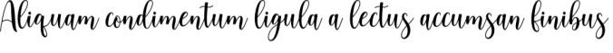 Palm Belly Font Preview