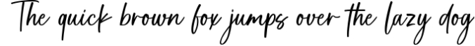 Soul Signature - signature font Font Preview