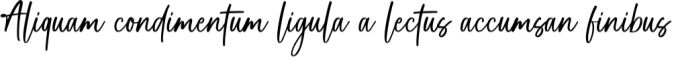 Soul Signature Font Preview
