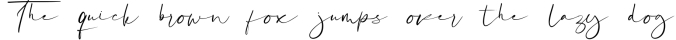 Katagami Signature Font Preview