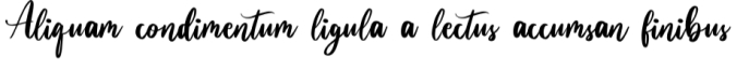 Bulgabia Font Preview
