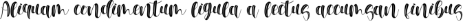 Melisha Font Preview