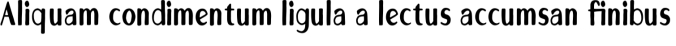Rimsky Font Preview