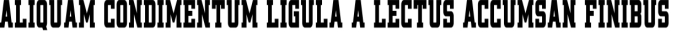 Krecking Font Preview