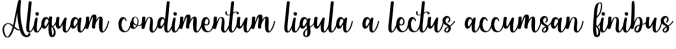 Fluffy Puddle Font Preview