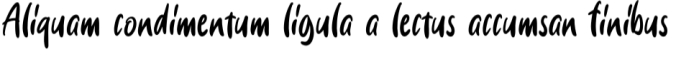 Stacylia Font Preview