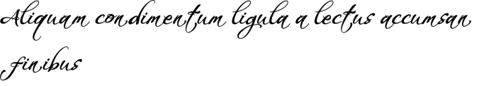 Whispers Calligraphy Font Preview