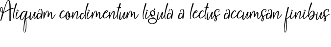 Christmas Delight Font Preview