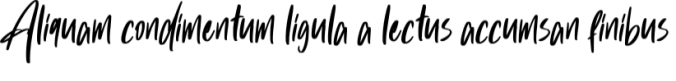 Hola Augusto Font Preview