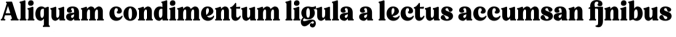 Notulen Font Preview