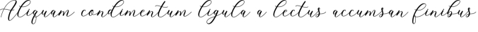 Cavilay Script Font Preview