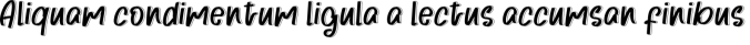 Friday Hunter Font Preview