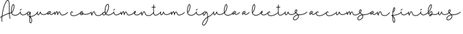 Sillegi Font Preview