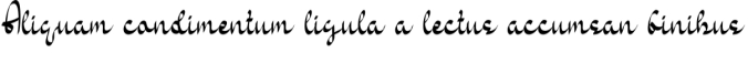 Carribean Nut Font Preview