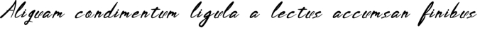 Twelve at Night Font Preview