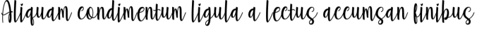 Felicity Agatha Font Preview