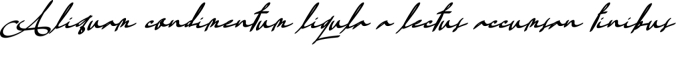 Amania Signature Font Preview
