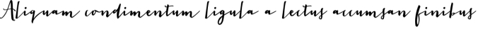The Signer Font Preview