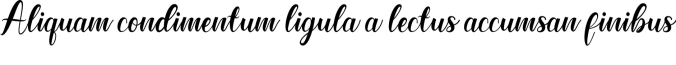 La Madre Font Preview