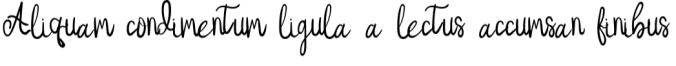 Bella Belly Font Preview