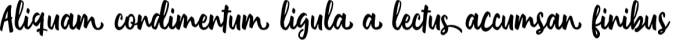 Believer Font Preview