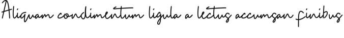 Dafania Font Preview