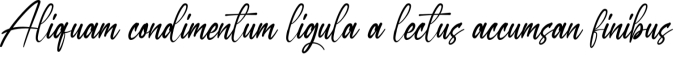 Handmade Signature Font Preview