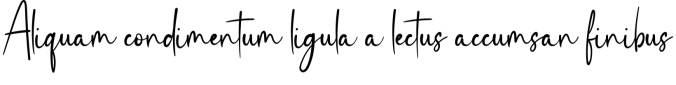 Valentina Signature Font Preview