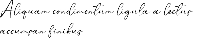 Rosallinda Signature Font Preview