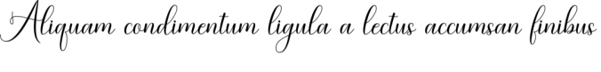 Baby Angelonia Font Preview