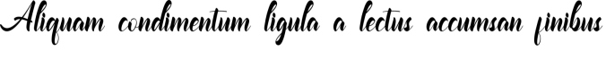 Welcoming New Year Font Preview