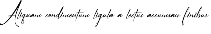 Arinttika Signature Font Preview