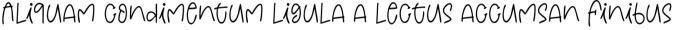 Weeknight Font Preview