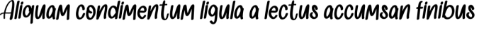 Winter Snow White Font Preview