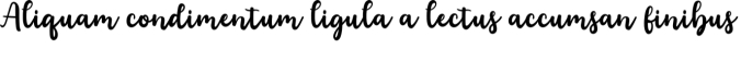 Floristy Font Preview