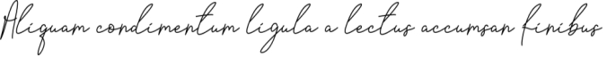 Lenkay Font Preview