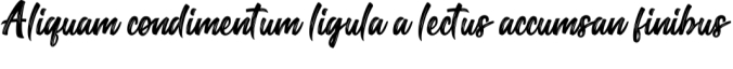 Camillus Font Preview