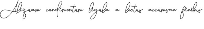 Queens Signature Font Preview