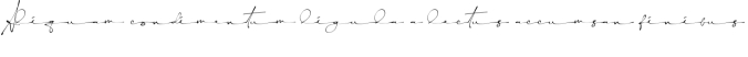 Yellova Signature Font Preview