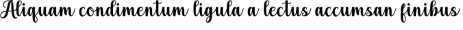 Holysthic Font Preview