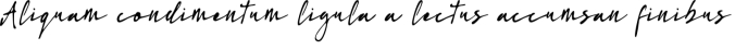 Brush Kings Font Preview