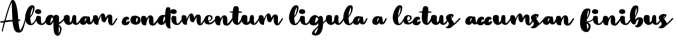 Alika Font Preview