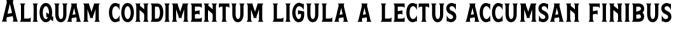 Hamston Font Preview