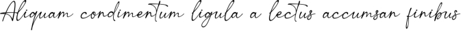 Sucillia Font Preview